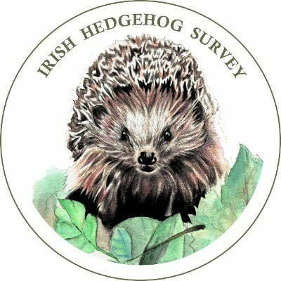 Irish-hedgehog-survey